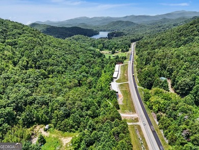 Exceptional opportunity to have 6+ acres in the Lake Burton area - photo 2
