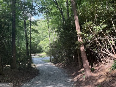 Exceptional opportunity to have 6+ acres in the Lake Burton area - photo 3
