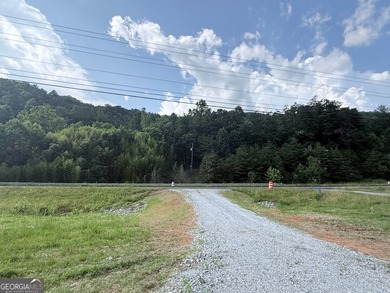 Exceptional opportunity to have 6+ acres in the Lake Burton area - photo 4