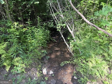 Exceptional opportunity to have 6+ acres in the Lake Burton area - photo 5