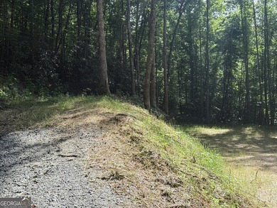 Exceptional opportunity to have 6+ acres in the Lake Burton area - photo 7