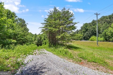 Exceptional opportunity to have 6+ acres in the Lake Burton area - photo 8