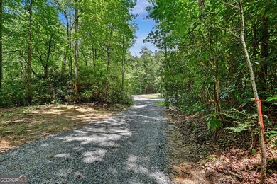 Exceptional opportunity to have 6+ acres in the Lake Burton area - photo 9