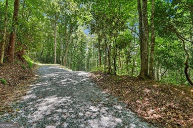 Exceptional opportunity to have 6+ acres in the Lake Burton area - photo 10
