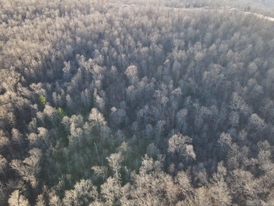 Located just outside Hardy, Arkansas, this versatile Ozarks - photo 11
