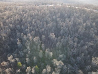 Located just outside Hardy, Arkansas, this versatile Ozarks - photo 12