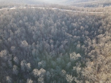 Located just outside Hardy, Arkansas, this versatile Ozarks - photo 13