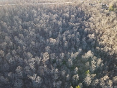 Located just outside Hardy, Arkansas, this versatile Ozarks - photo 14