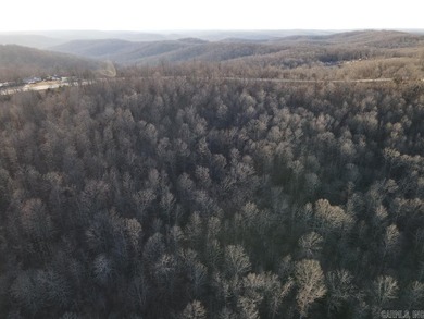 Located just outside Hardy, Arkansas, this versatile Ozarks - photo 15