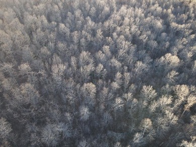 Located just outside Hardy, Arkansas, this versatile Ozarks - photo 16