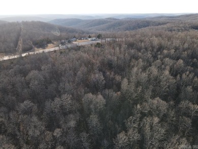 Located just outside Hardy, Arkansas, this versatile Ozarks - photo 17