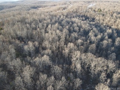 Located just outside Hardy, Arkansas, this versatile Ozarks - photo 18