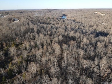 Located just outside Hardy, Arkansas, this versatile Ozarks - photo 19