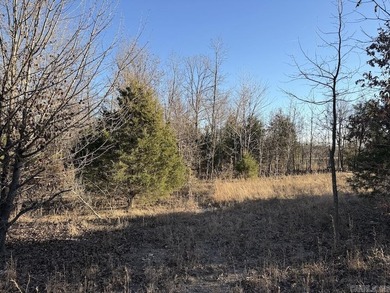 Located just outside Hardy, Arkansas, this versatile Ozarks - photo 23