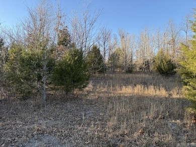 Located just outside Hardy, Arkansas, this versatile Ozarks - photo 24