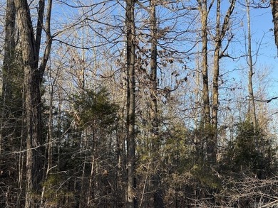 Located just outside Hardy, Arkansas, this versatile Ozarks - photo 25