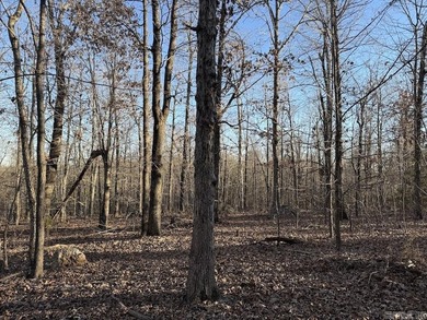 Located just outside Hardy, Arkansas, this versatile Ozarks - photo 26