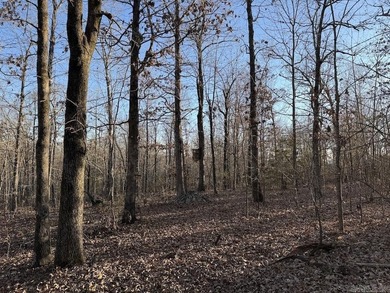 Located just outside Hardy, Arkansas, this versatile Ozarks - photo 27