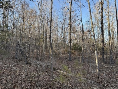 Located just outside Hardy, Arkansas, this versatile Ozarks - photo 28