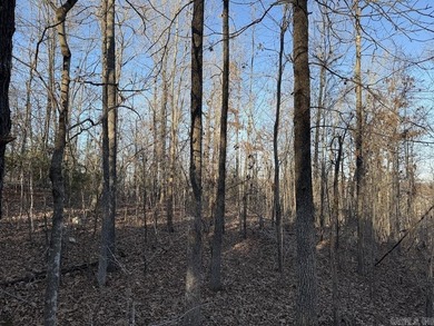 Located just outside Hardy, Arkansas, this versatile Ozarks - photo 29