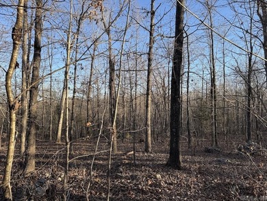 Located just outside Hardy, Arkansas, this versatile Ozarks - photo 30