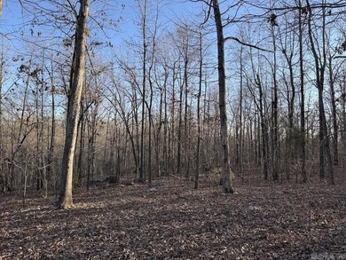 Located just outside Hardy, Arkansas, this versatile Ozarks - photo 31