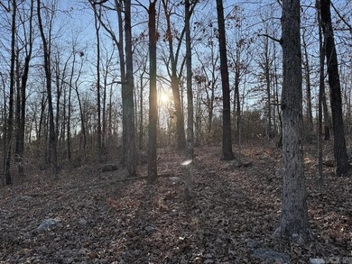 Located just outside Hardy, Arkansas, this versatile Ozarks - photo 32