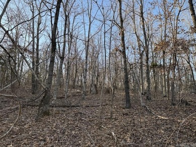 Located just outside Hardy, Arkansas, this versatile Ozarks - photo 33