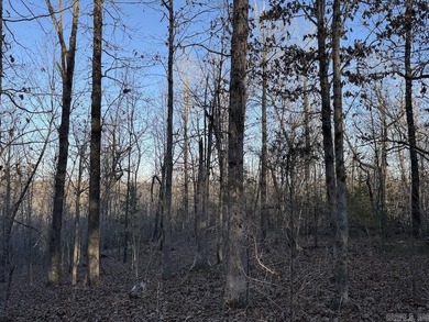 Located just outside Hardy, Arkansas, this versatile Ozarks - photo 34