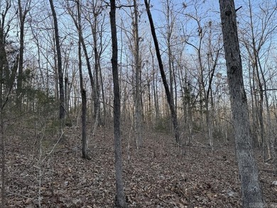 Located just outside Hardy, Arkansas, this versatile Ozarks - photo 35