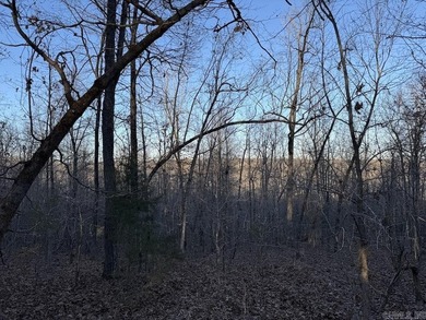 Located just outside Hardy, Arkansas, this versatile Ozarks - photo 36