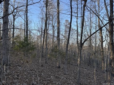 Located just outside Hardy, Arkansas, this versatile Ozarks - photo 37