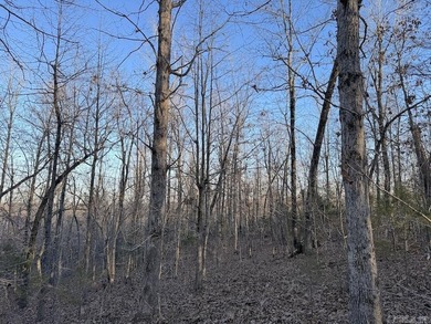 Located just outside Hardy, Arkansas, this versatile Ozarks - photo 38