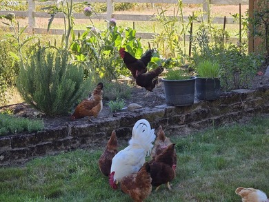 Your Winemaking Dream (or Kennel Dream) AwaitsPicture this: 5 - photo 38