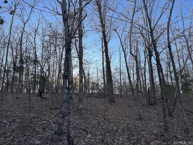 Located just outside Hardy, Arkansas, this versatile Ozarks - photo 39