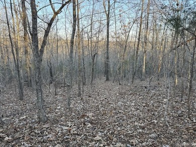 Located just outside Hardy, Arkansas, this versatile Ozarks - photo 40