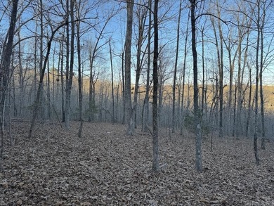 Located just outside Hardy, Arkansas, this versatile Ozarks - photo 41