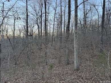 Located just outside Hardy, Arkansas, this versatile Ozarks - photo 42