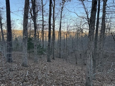 Located just outside Hardy, Arkansas, this versatile Ozarks - photo 43