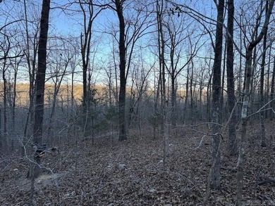 Located just outside Hardy, Arkansas, this versatile Ozarks - photo 44