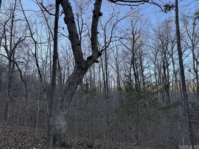 Located just outside Hardy, Arkansas, this versatile Ozarks - photo 45
