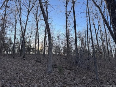 Located just outside Hardy, Arkansas, this versatile Ozarks - photo 46