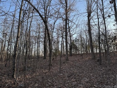 Located just outside Hardy, Arkansas, this versatile Ozarks - photo 47