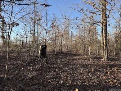 Located just outside Hardy, Arkansas, this versatile Ozarks - photo 48