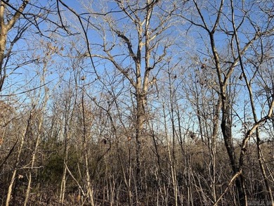 Located just outside Hardy, Arkansas, this versatile Ozarks - photo 49