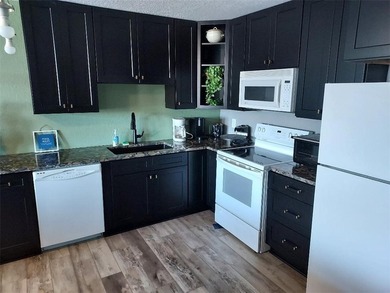 Have it all at Tagalong! This beautifully remodeled condo - photo 3