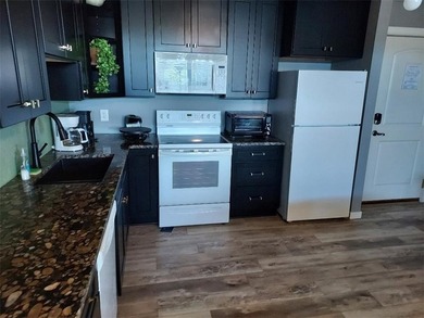 Have it all at Tagalong! This beautifully remodeled condo - photo 5