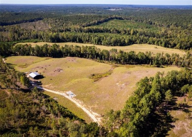 Lake Harding Acreage For Sale in Salem Alabama