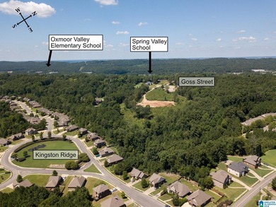 Excellent Opportunity to develop in a PRIME area of the growing - photo 13