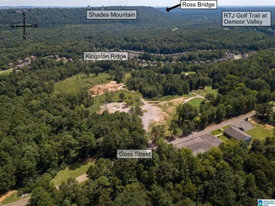Excellent Opportunity to develop in a PRIME area of the growing - photo 14
